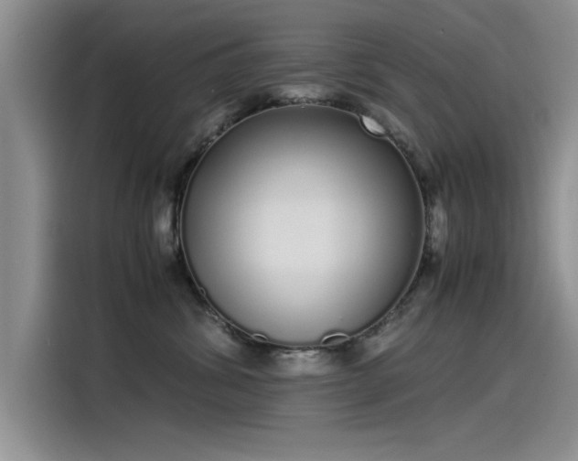 X0000115500428200911131325