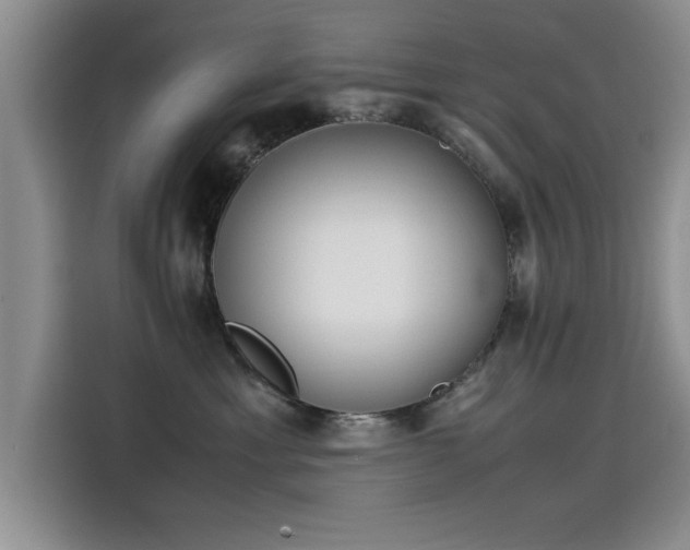 X0000115500429200911131325