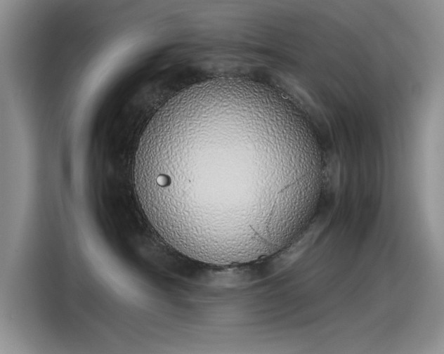 X0000115500430200911131325