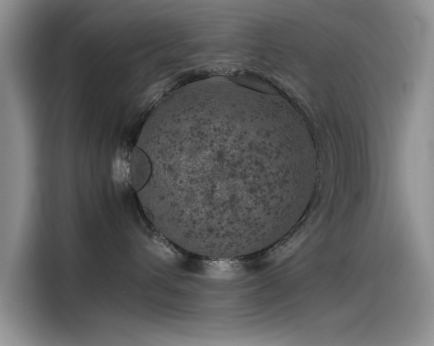 X0000115500432200911131325