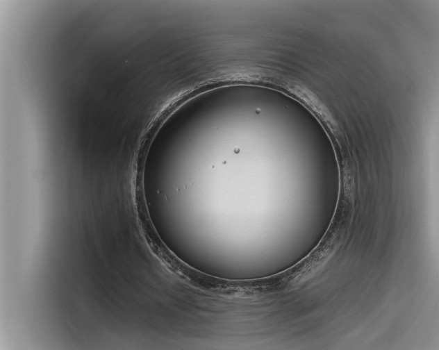 X0000115500434200911131324