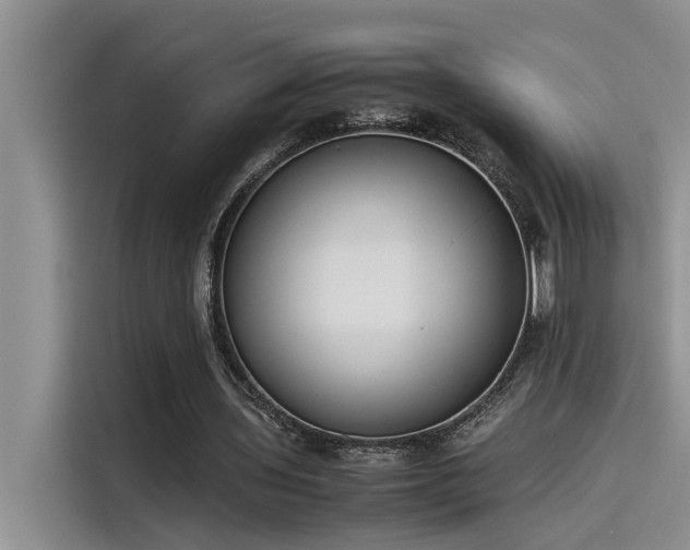 X0000115500435200911131324
