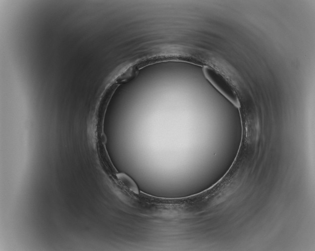 X0000115500436200911131324