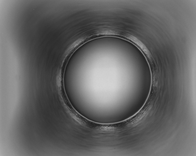 X0000115500437200911131324