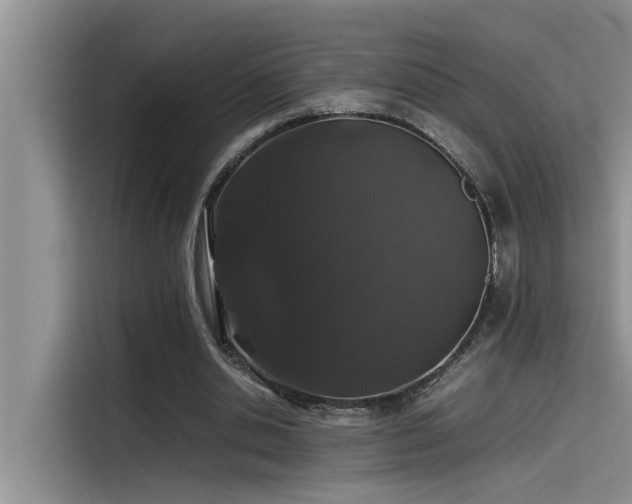X0000115500438200911131324
