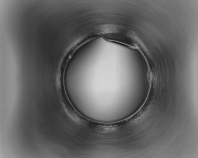 X0000115500443200911131324