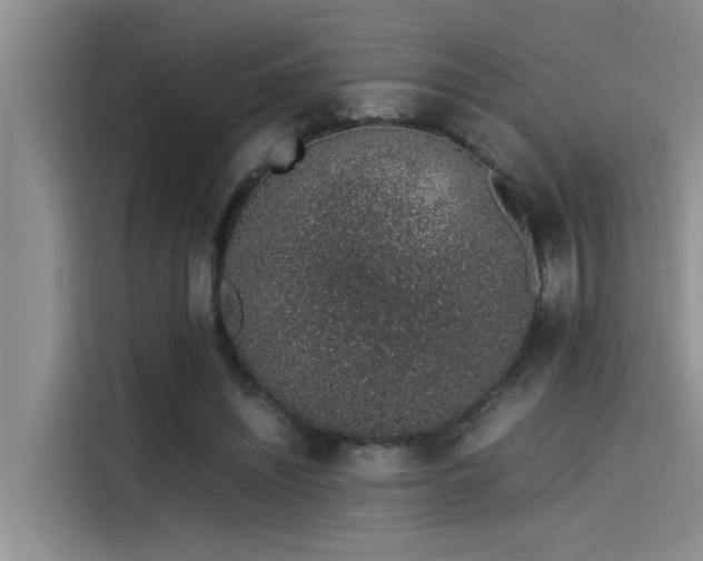 X0000115500444200911131324