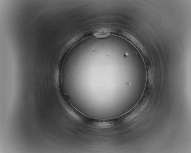 X0000115500445200911131324