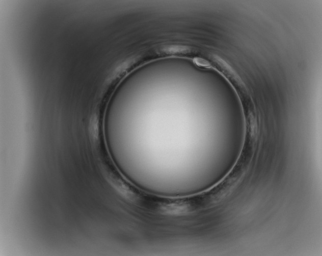 X0000115500447200911131324