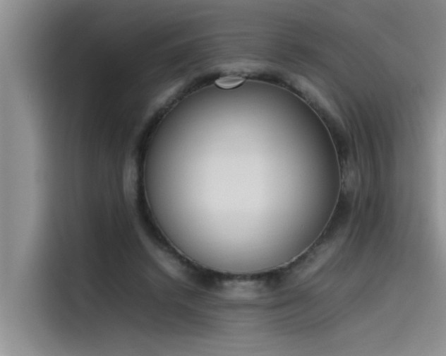 X0000115500448200911131324