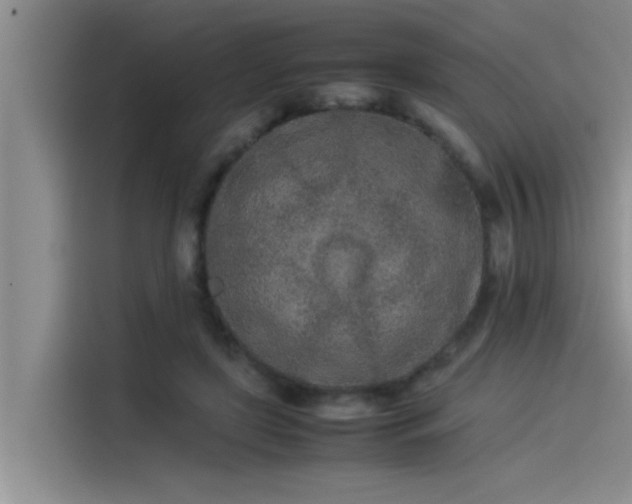 X0000115500451200911131324