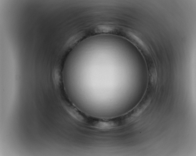 X0000115500455200911131324