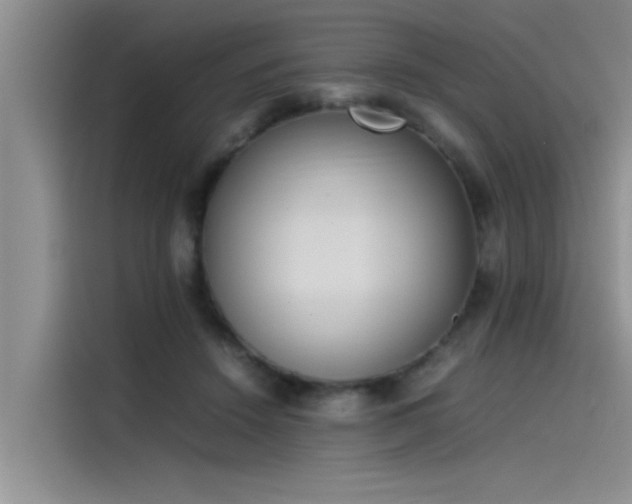 X0000115500456200911131324
