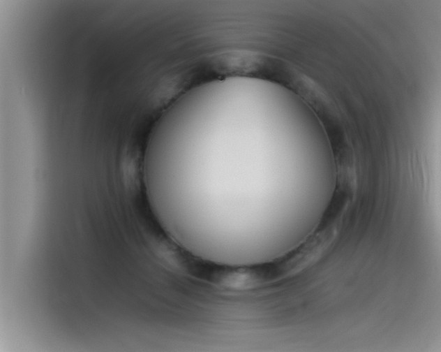 X0000115500460200911131324