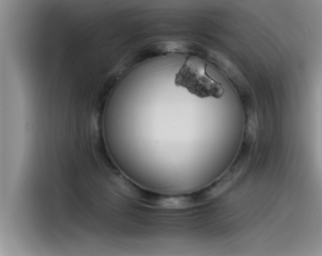 X0000115500461200911131324