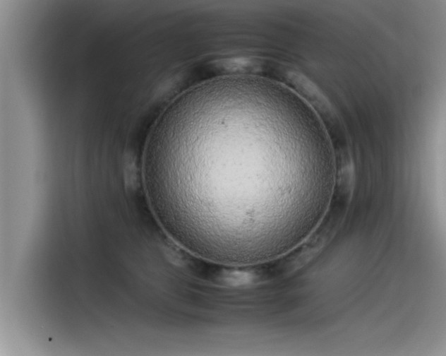 X0000115500469200911131324