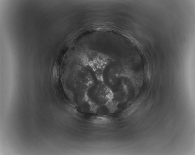 X0000115500475200911131324