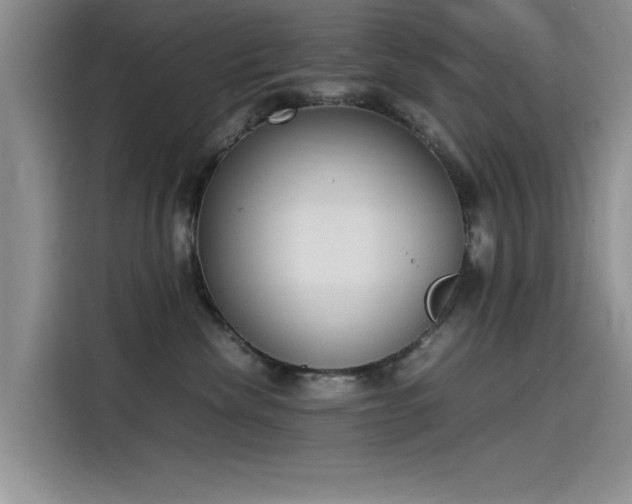 X0000115500476200911131324