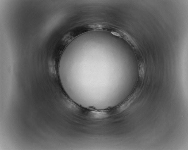 X0000115500477200911131324