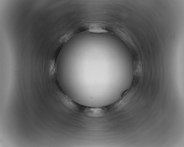 X0000115500478200911131324