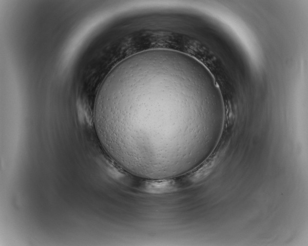 X0000115500479200911131324