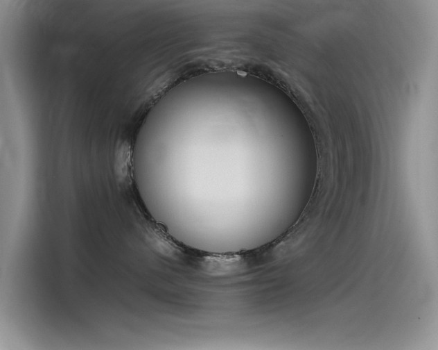 X0000115500480200911131324