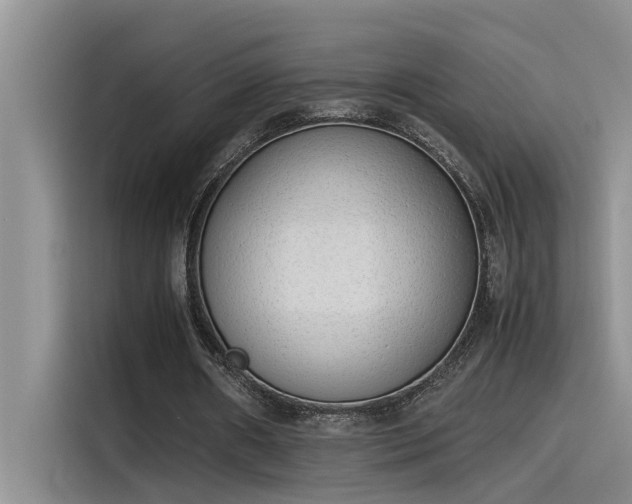 X0000115500482200911131324