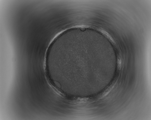 X0000115500484200911131324