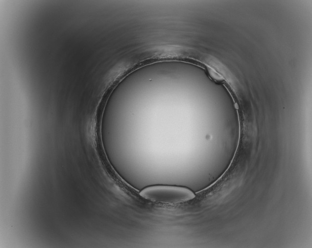 X0000115500485200911131324