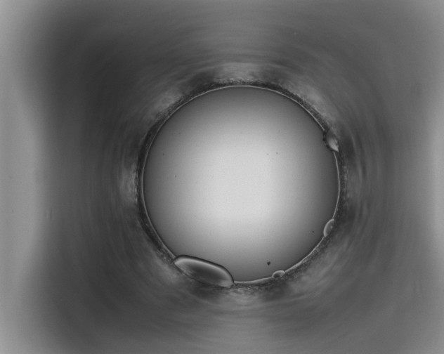 X0000115500489200911131324