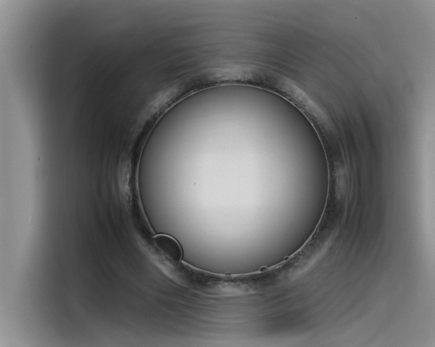 X0000115500490200911131324