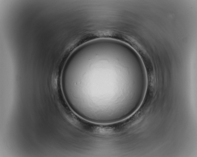 X0000115500491200911131324