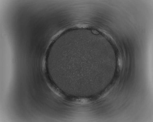 X0000115500492200911131324
