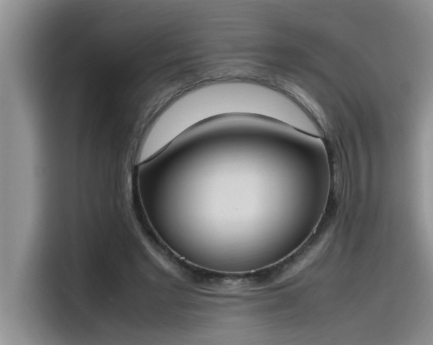 X0000115500493200911131324
