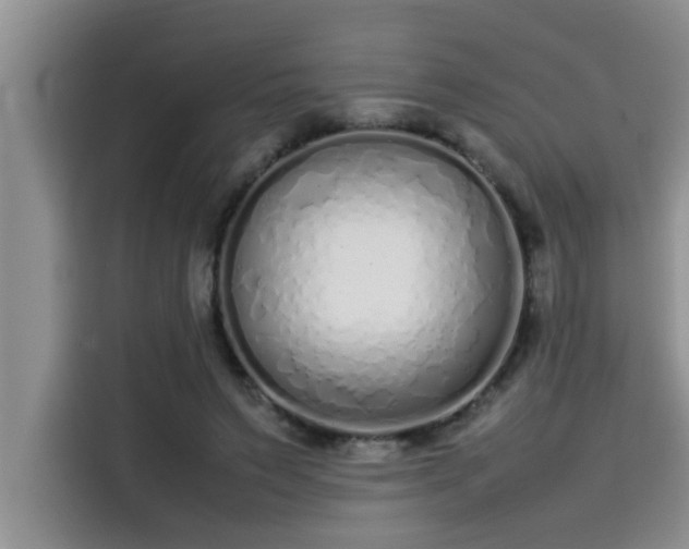 X0000115500495200911131324