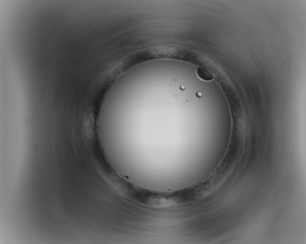 X0000115500498200911131324