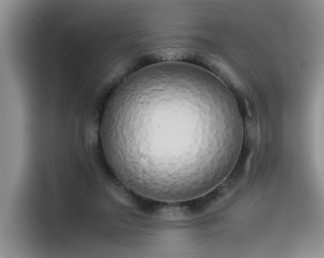 X0000115500499200911131324