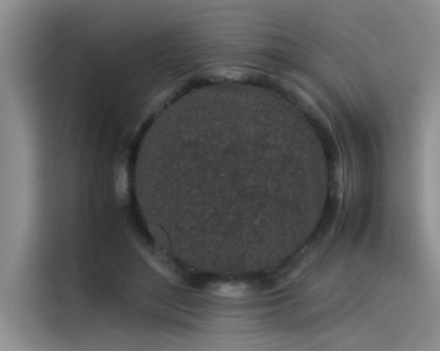 X0000115500500200911131324