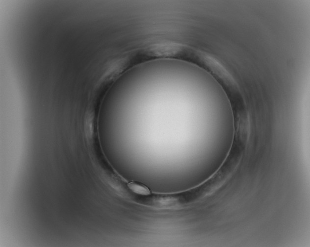 X0000115500501200911131324