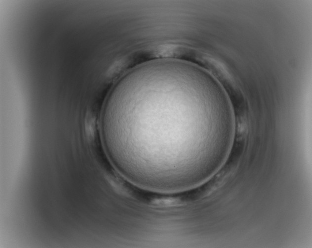X0000115500503200911131324