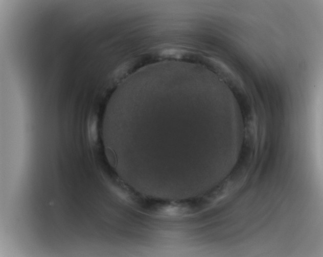 X0000115500504200911131324