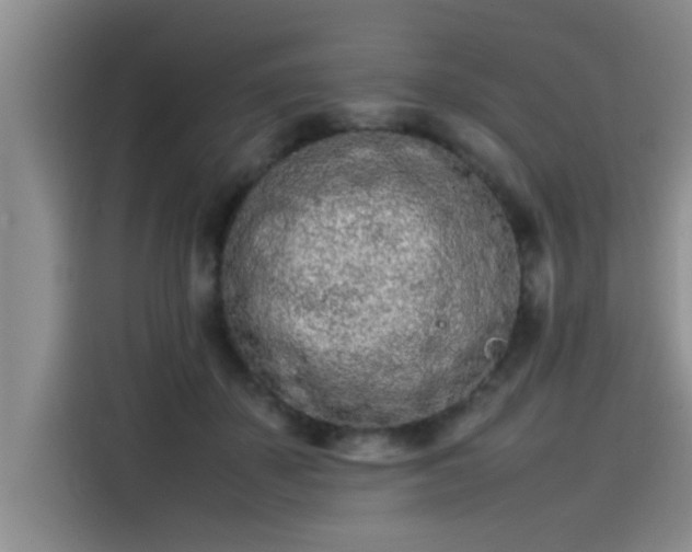 X0000115500507200911131324