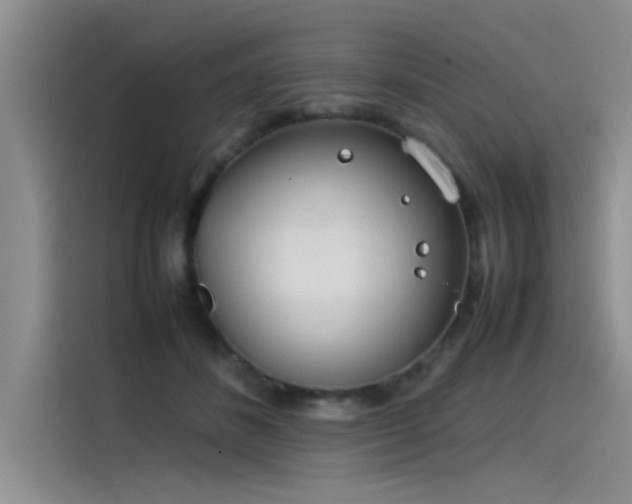 X0000115500508200911131324