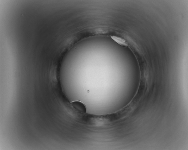X0000115500512200911131323