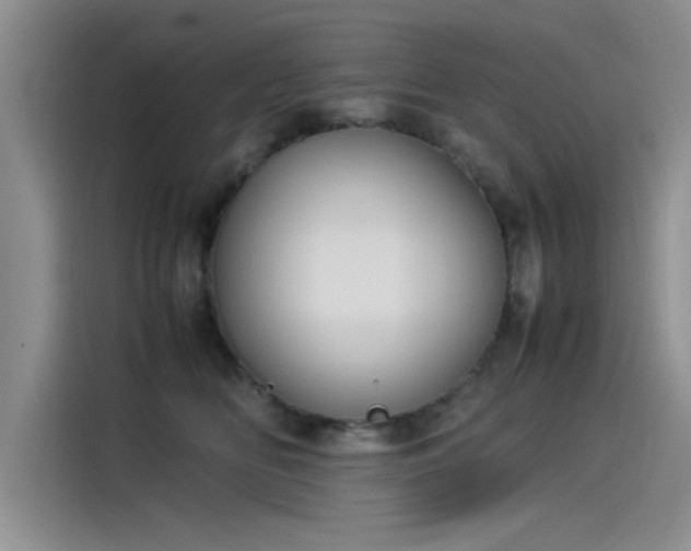X0000115500518200911131323
