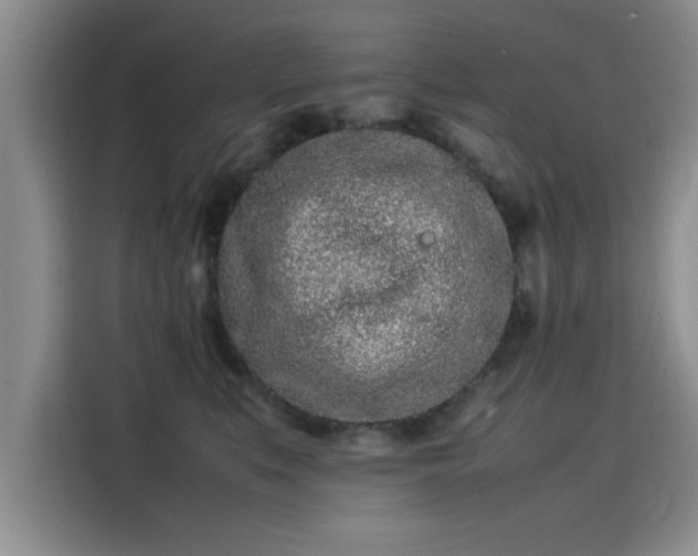 X0000115500519200911131323