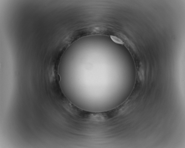 X0000115500520200911131323