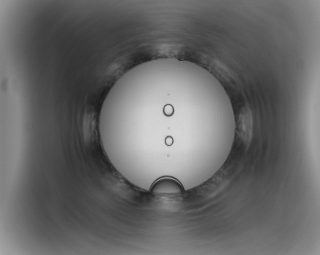 X0000115500522200911131323
