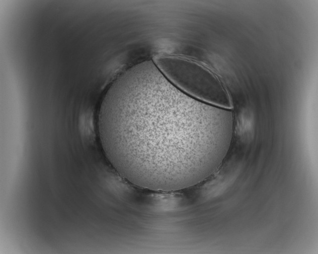 X0000115500524200911131323