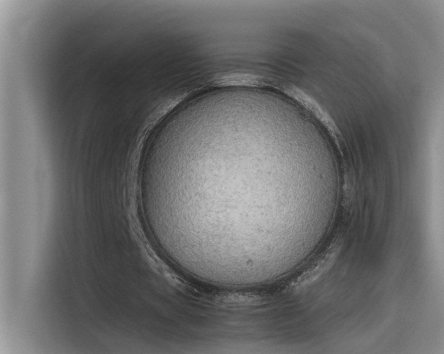 X0000115500529200911131323
